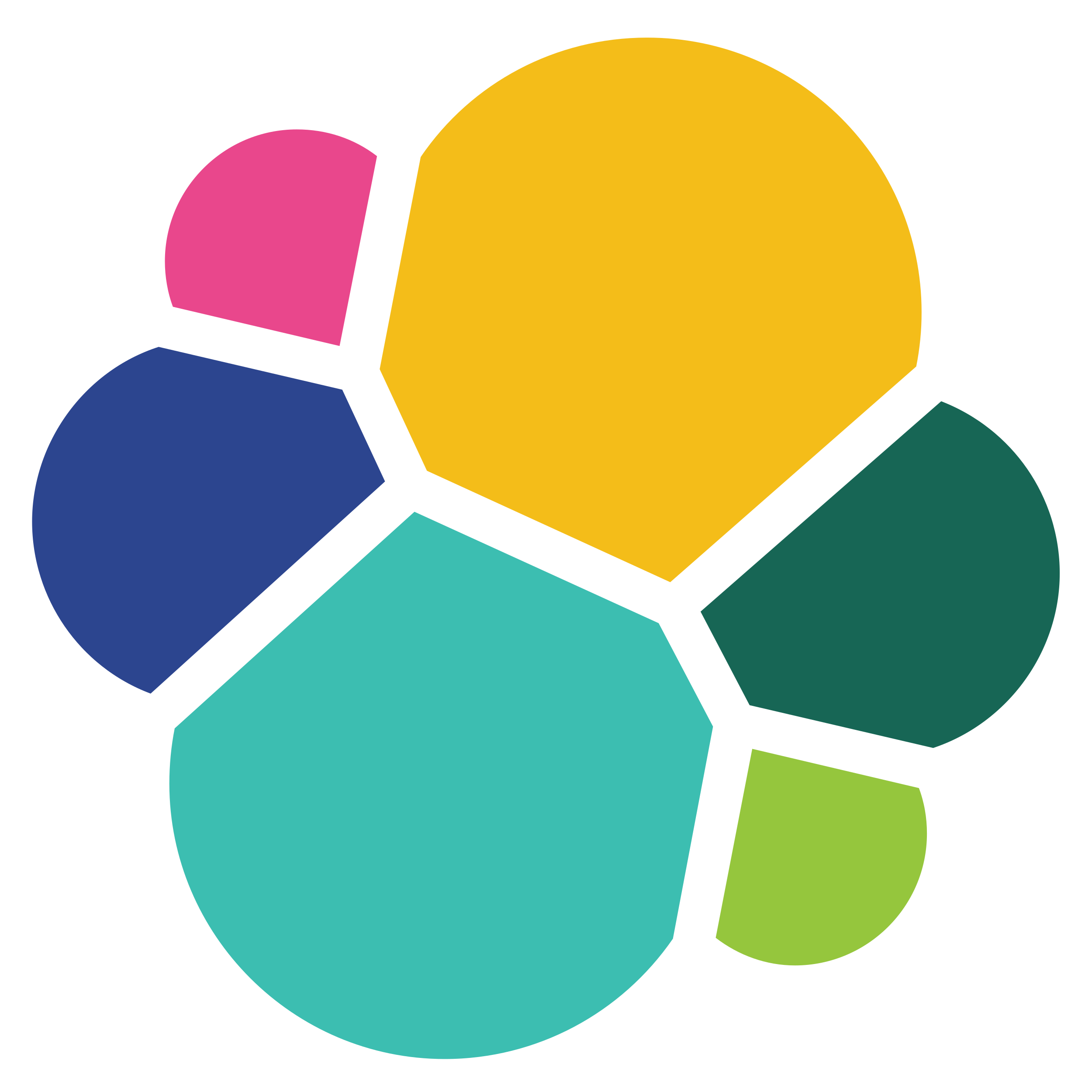 ElasticSearch Logo